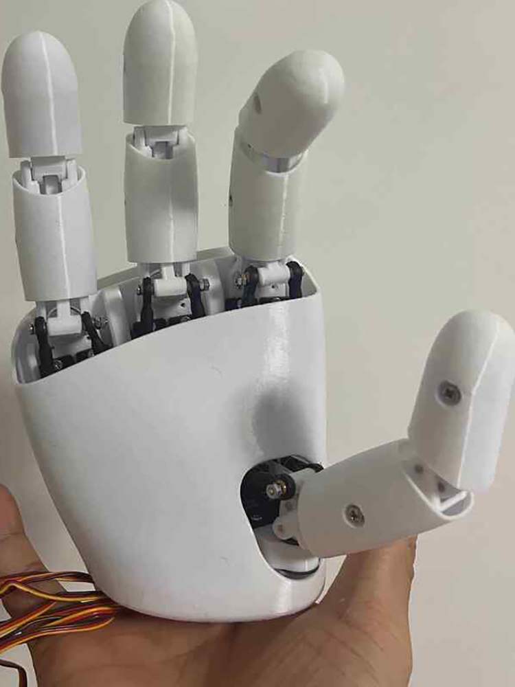 AmazingHand 8 DOF Robot Hand 3 - 3D Printing Robot review and price